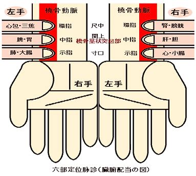 祖脈|六部定位脈診のやり方(四診法の切診)と臨床で出現し。